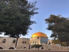 Genel Başkan Tufanoğlu’ndan Kudüs ve Mescid-i Aksa’ya ziyaret