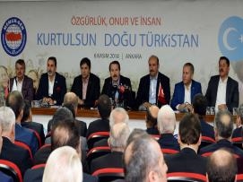 81 İlden Çin'in İnsan Hakları İhlallerine Tepki