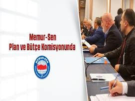 Memur-Sen Plan ve Bütçe Komisyonunda Beklenti ve Talepleri Aktardı