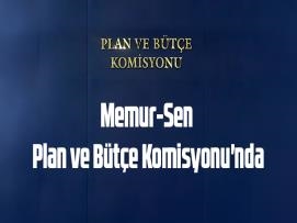 Memur-Sen Plan ve Bütçe Komisyonu'nda